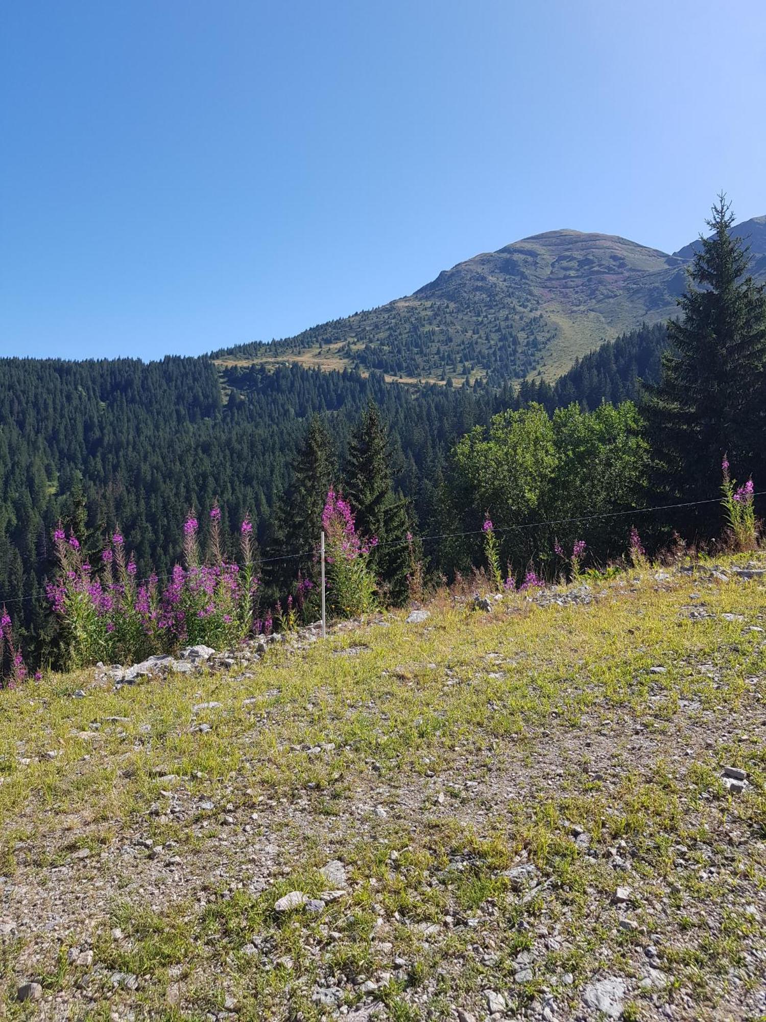 Les 7 Laux Immobilier Chalet E プラプテル エクステリア 写真