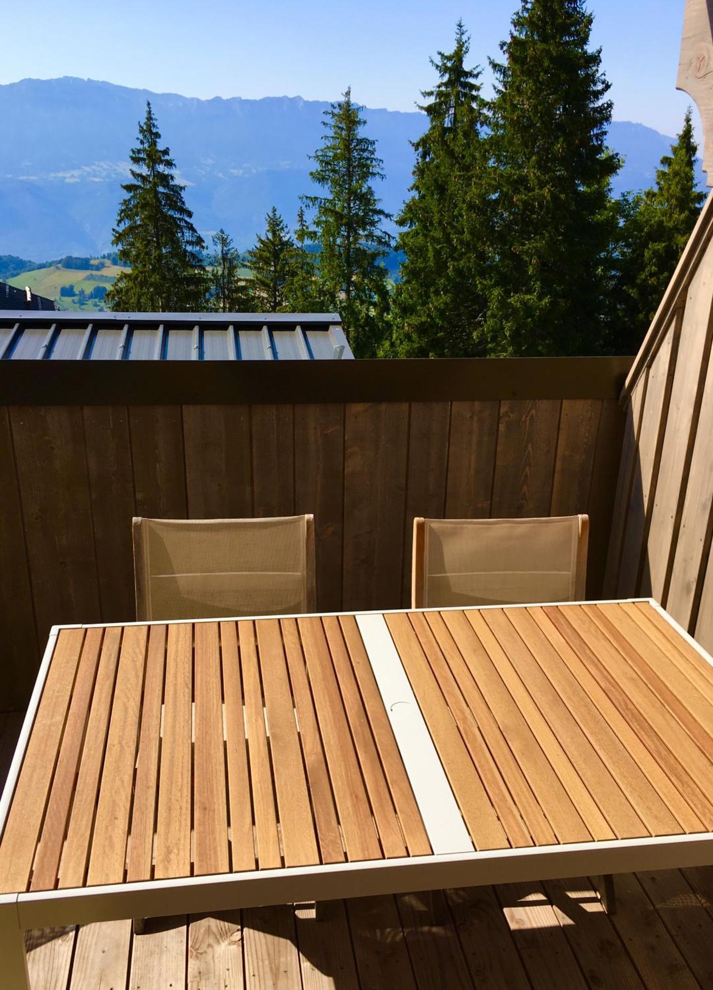 Les 7 Laux Immobilier Chalet E プラプテル エクステリア 写真